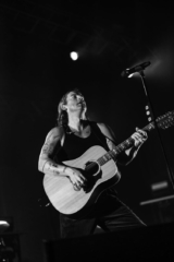 Judah and the Lion