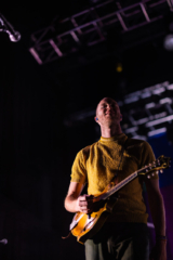 Judah and the Lion