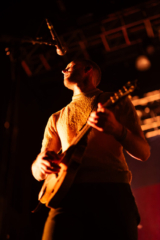 Judah and the Lion