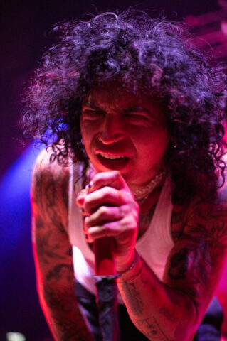 Beauty School Dropout