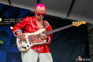 Flea And The Honora