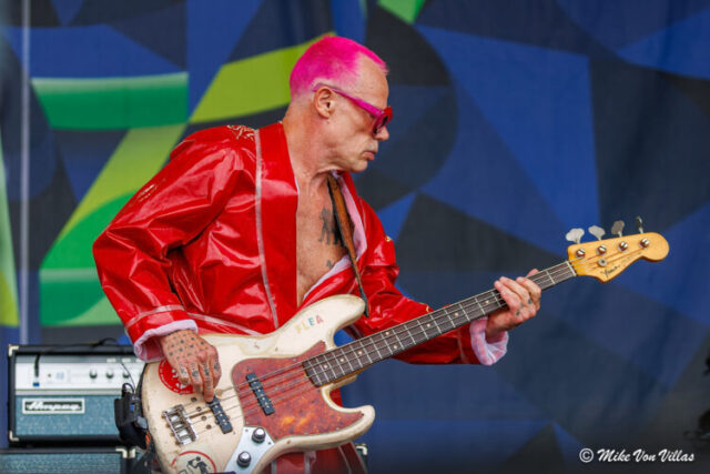 Flea And The Honora