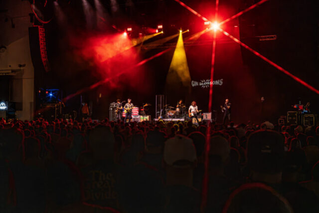 Gin Blossoms